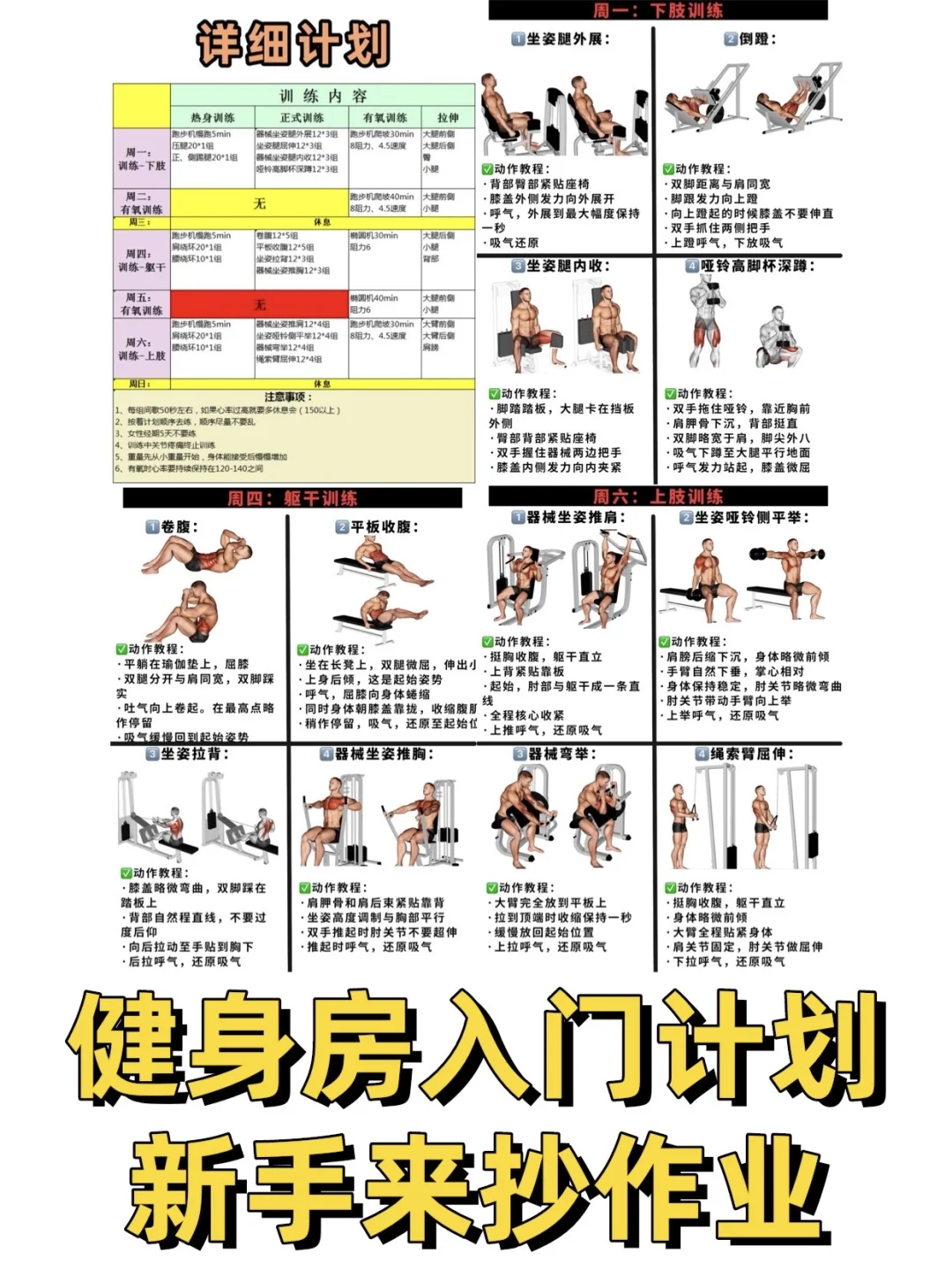 健身房计划！附带详细教程，适合健身房新手