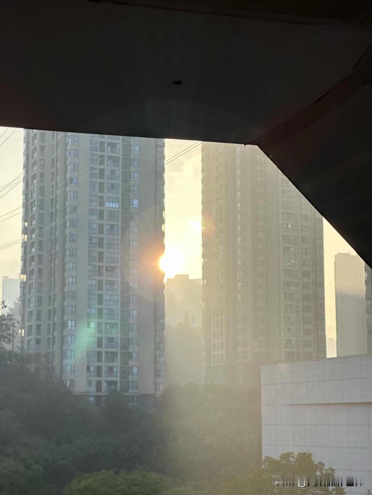 我的老天爷啊，终于开眼了！11月4日，重庆终于真的出太阳啦！但是，11月5日，重