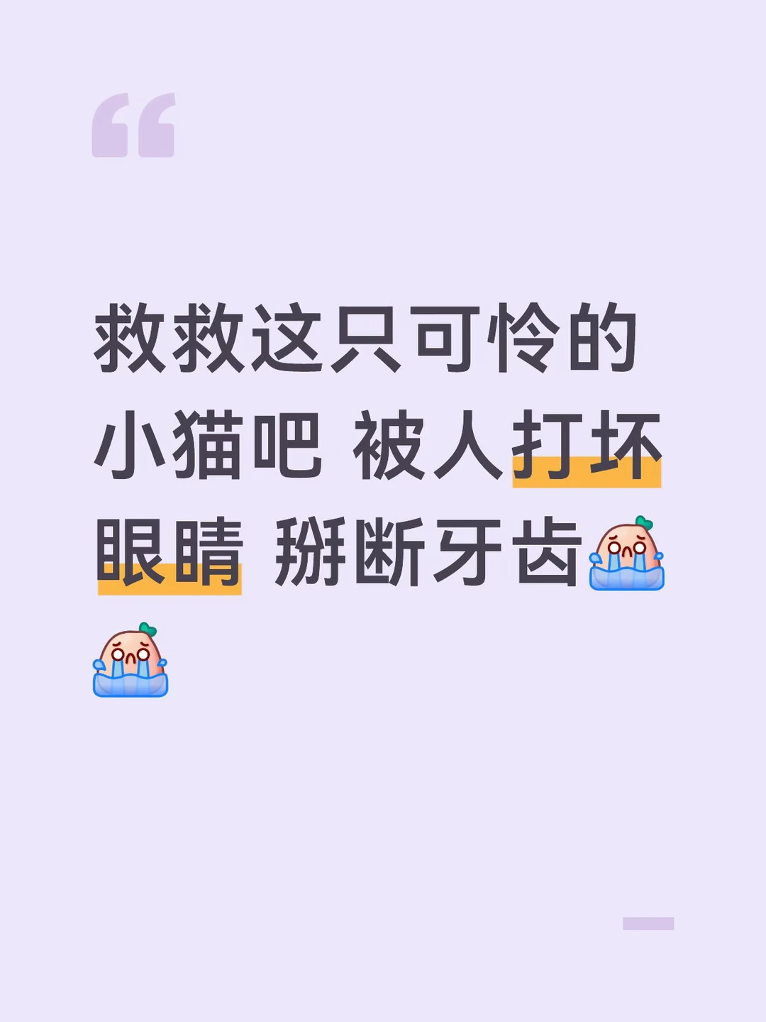 小猫七个月 求生欲很强 在众筹中🙏🏻