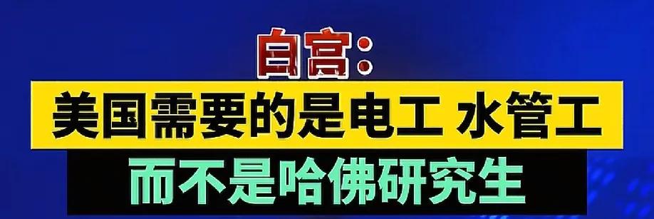 黄毛确实看的很准!专业研究生太多，而电工、水管工紧缺。
而我们这边研究生多、水电