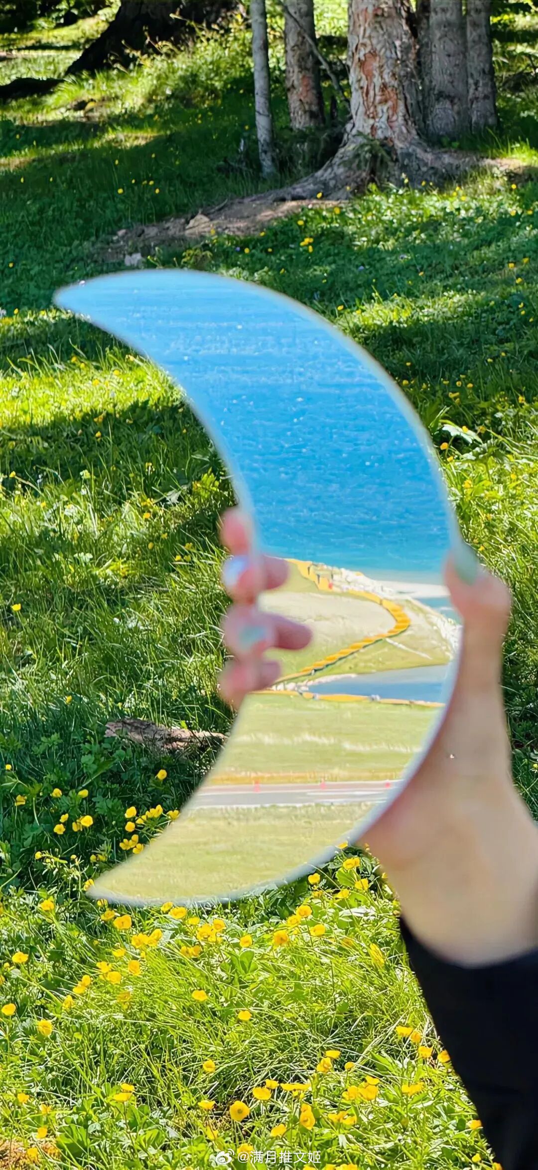 夏天冒着细密的气泡，香樟树枝繁叶茂，生机勃勃。他们在夏天相识，在夏天分开，烟火年
