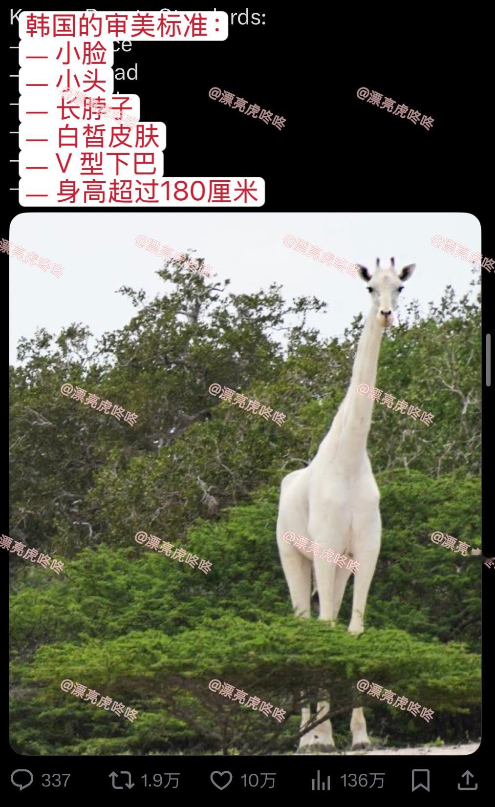 【twi】韩国的审美标准： ​​​