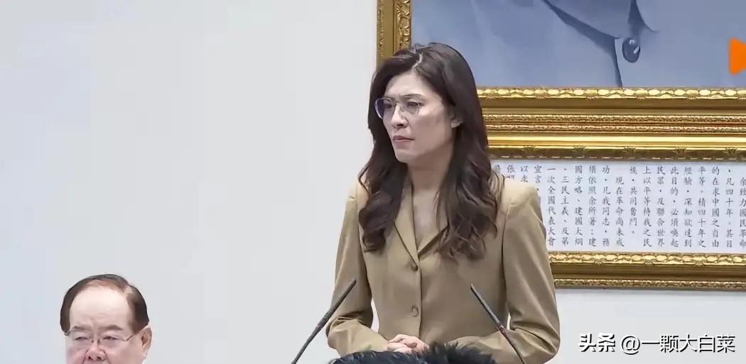 首次硬刚美方！郑丽文怒怼：台湾绝不做美国炮灰！

3月27日，郑丽文针对美方施压