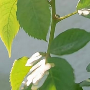 每日一善  每日一善   阳光信用 天行健，君子以自强不息；地势坤，君子以厚德载