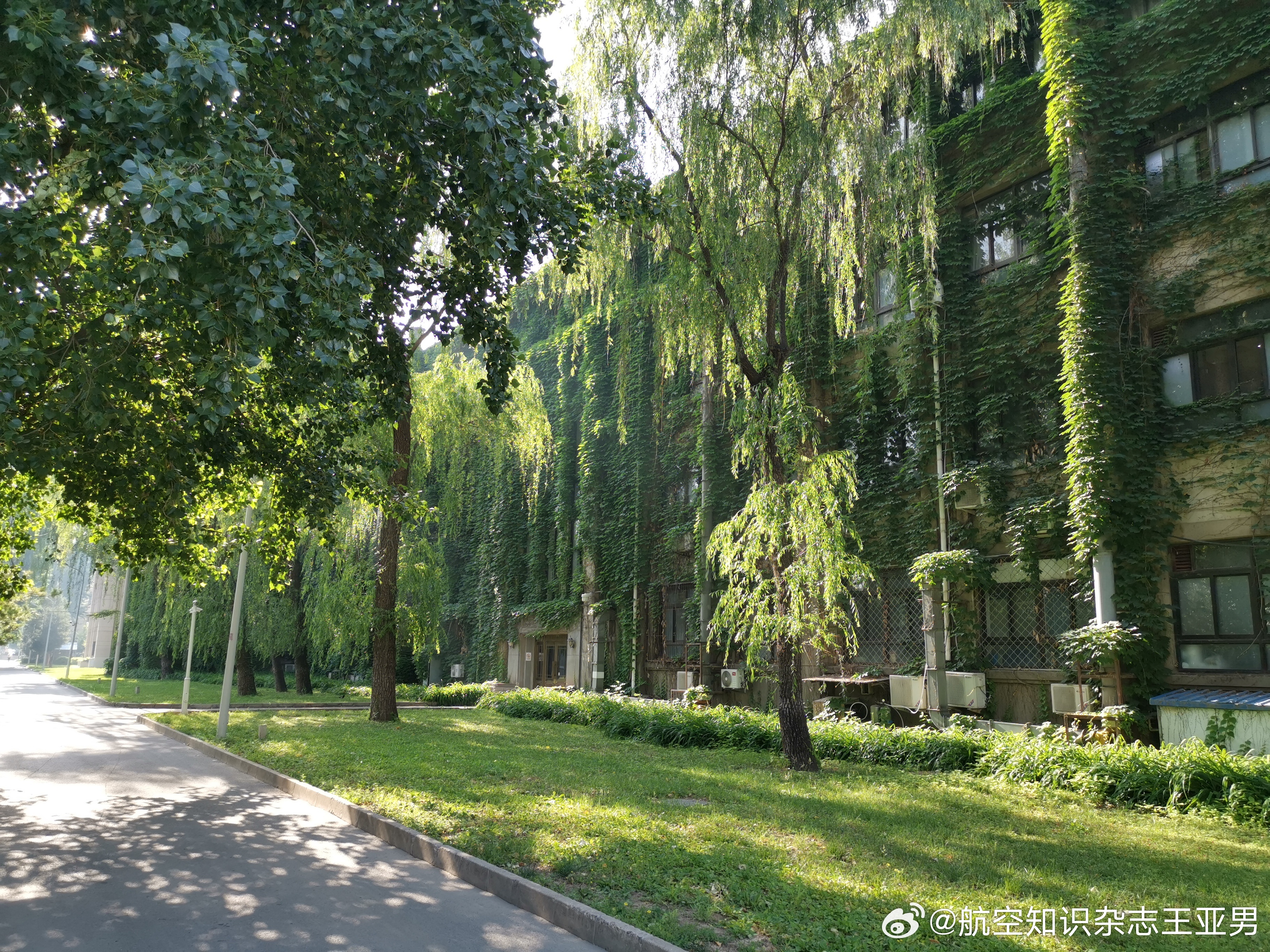北航教学区临近北四环草树中，原本有座庙，读书时有时去看看那里的古碑，今已不见。 