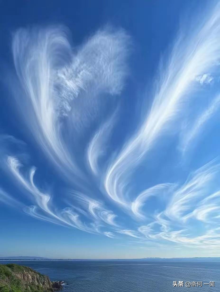 今天看了场费浚航的单打
是一位敢打敢拼的小将
在对向鹏时
2-8落后
不急不慌