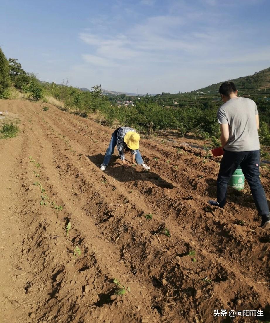直接说事儿！今年春天最想实现的心愿，其实挺朴实的。
 
就想安安稳稳享受一把季节