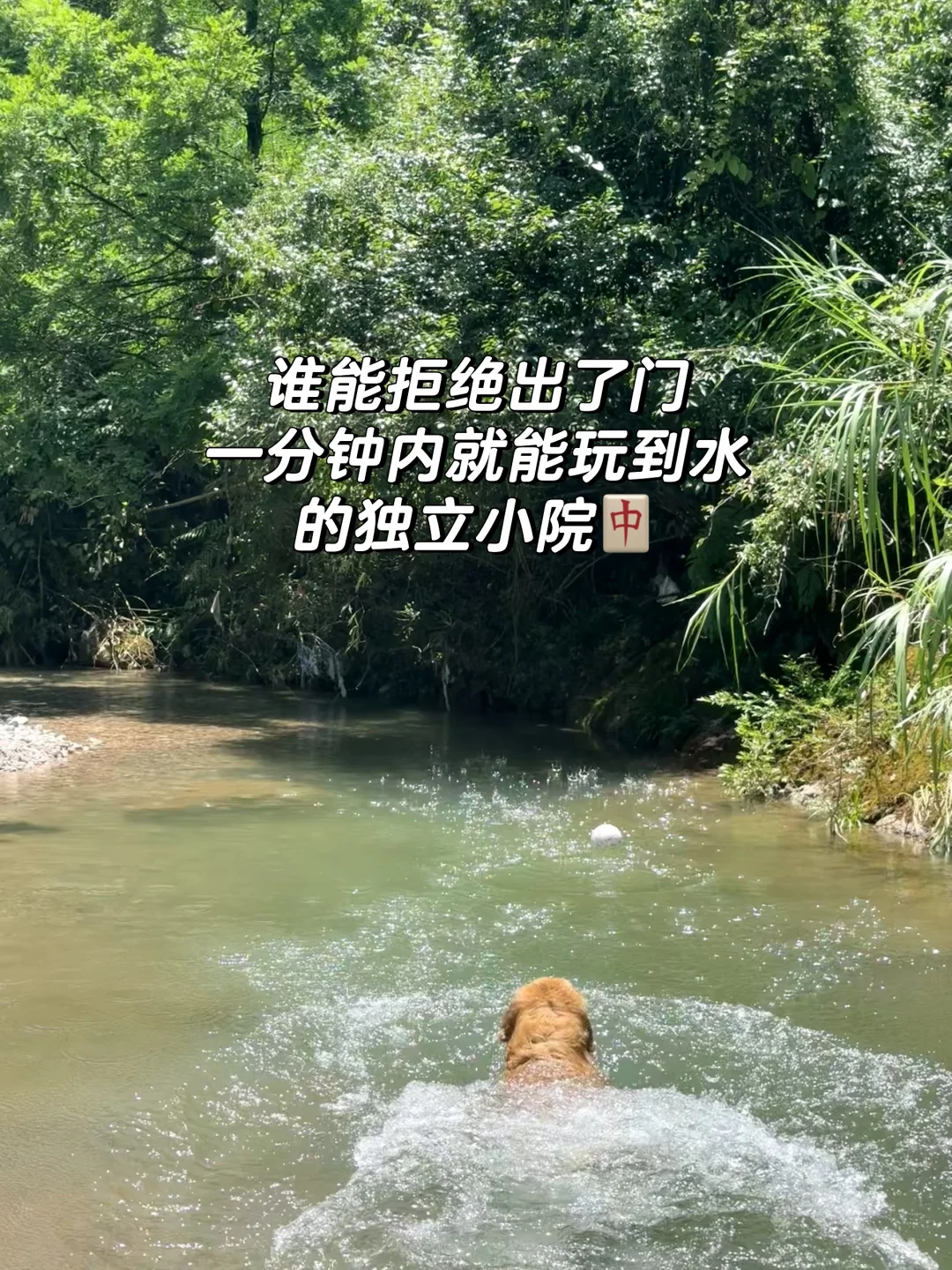 成都1.5h可玩水｜0宠物清洁费的独立三合院