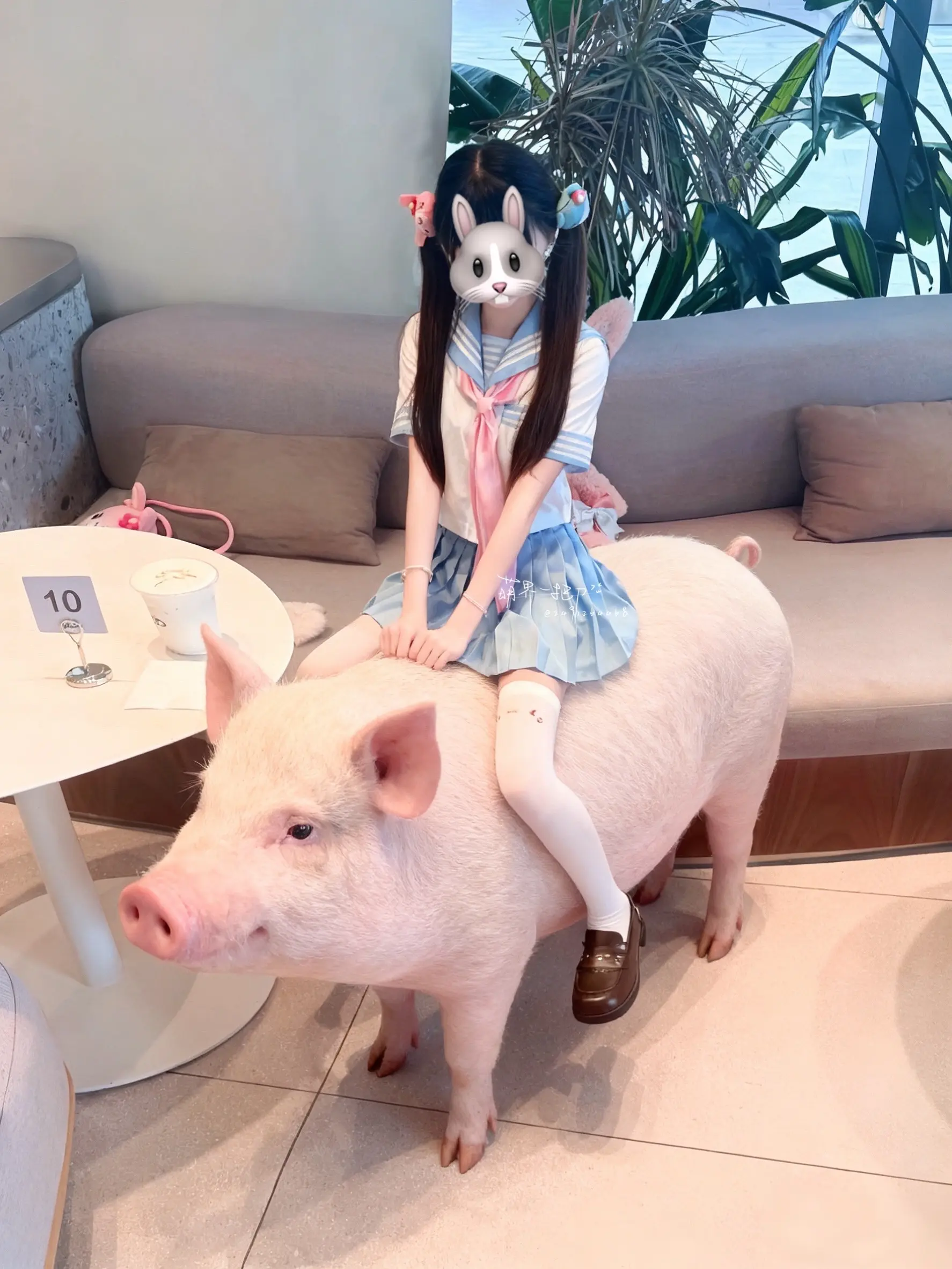 天气好的话 我可以骑着猪去见你