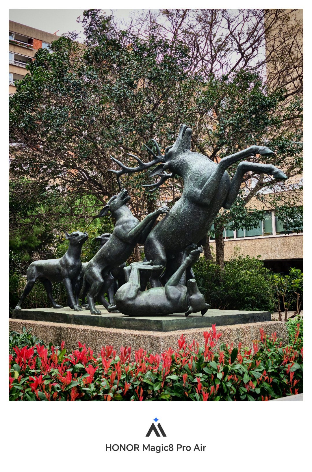 巴塞罗那 球场旁边绕了一圈。这俩人，走到哪拍到哪，但是肯定不如我拍的好看。看看我