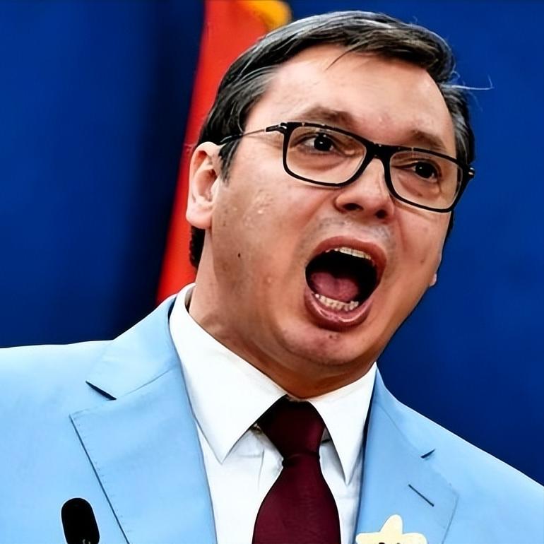 这塞尔维亚武契奇算是把天捅了个大窟窿，武契奇这一嗓子，真是在国际上炸了个雷。指着
