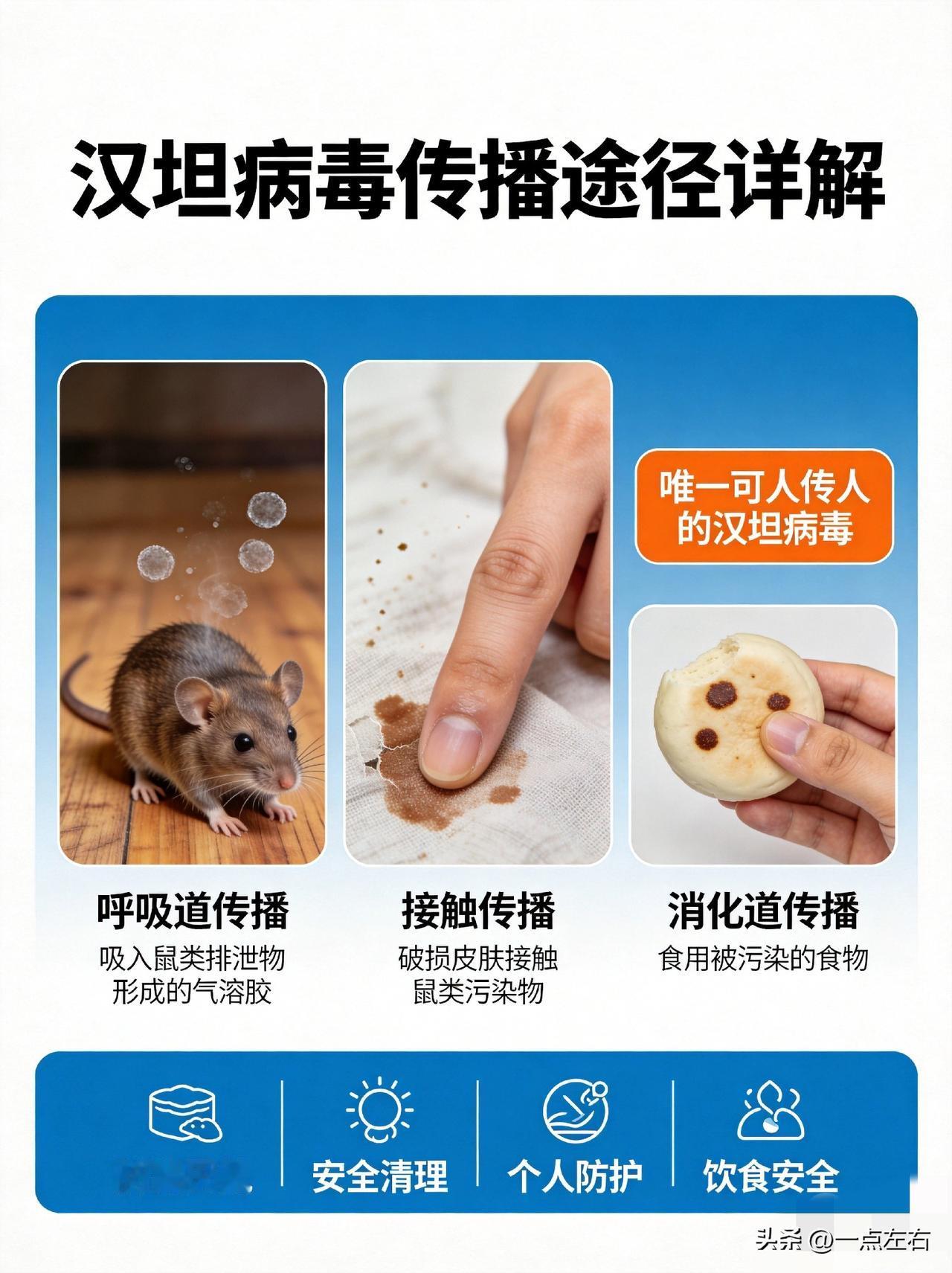 【汉坦病毒传播途径详解】

汉坦病毒主要由啮齿类动物携带，此次邮轮暴发的安第斯病