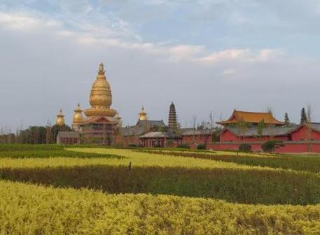 一段非常通透的话：“你整天瘫在床上，不学习不运动，幻想着天上掉馅饼，白天遇事唯唯