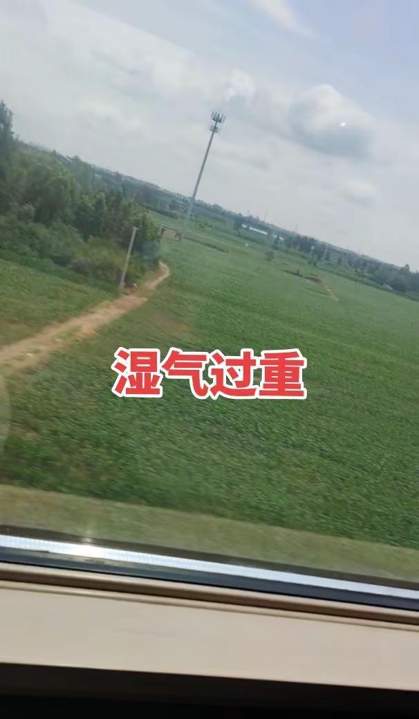 巅峰绝杀一战封神！吴宜泽鏖战击败墨菲，创下历史，成为斯诺克世锦赛史上第一位00后