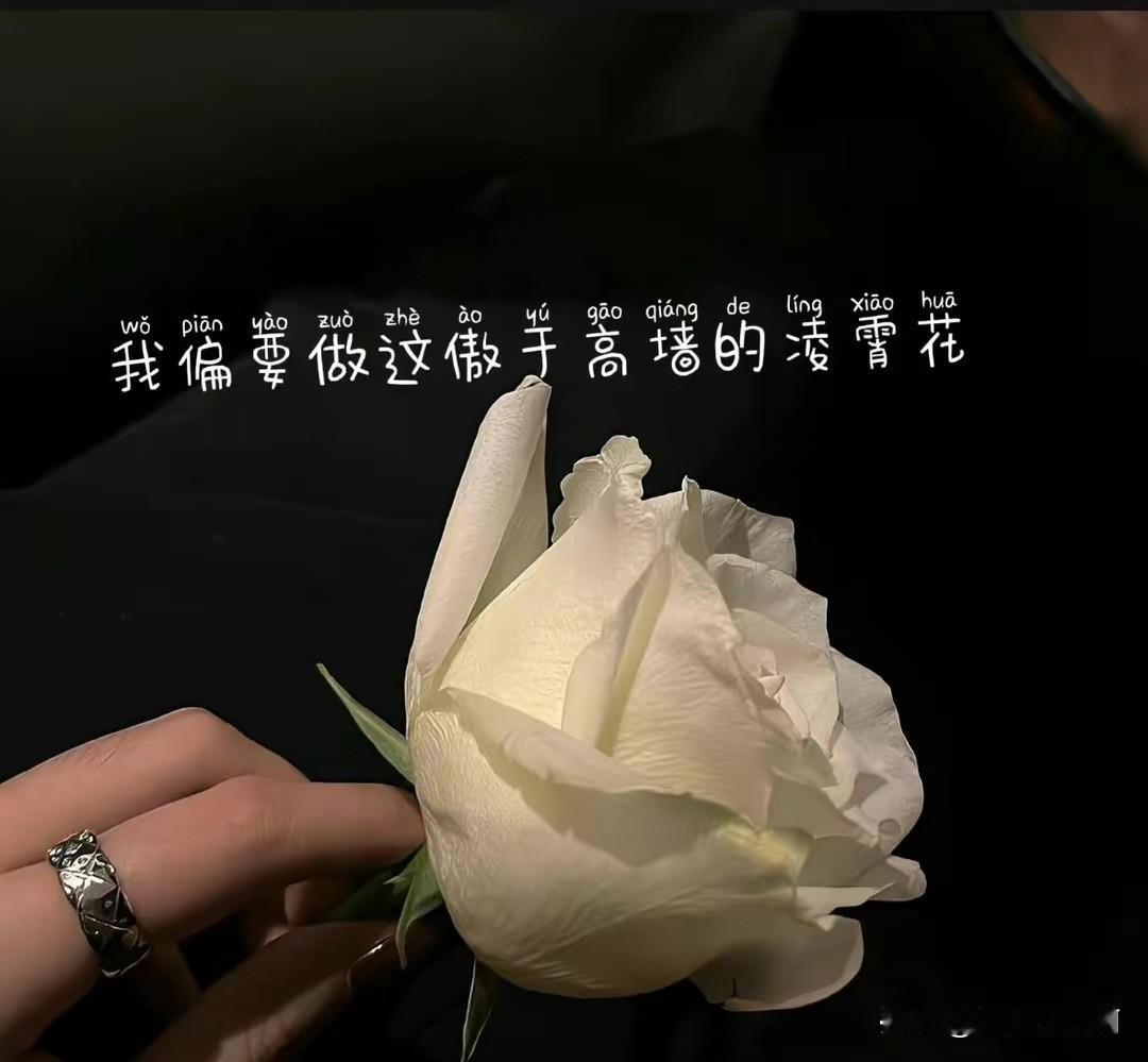 晚上出去遛弯小区附近有个小夜市，摊位不多，人也不多，但是也给这块地方增加了一些烟