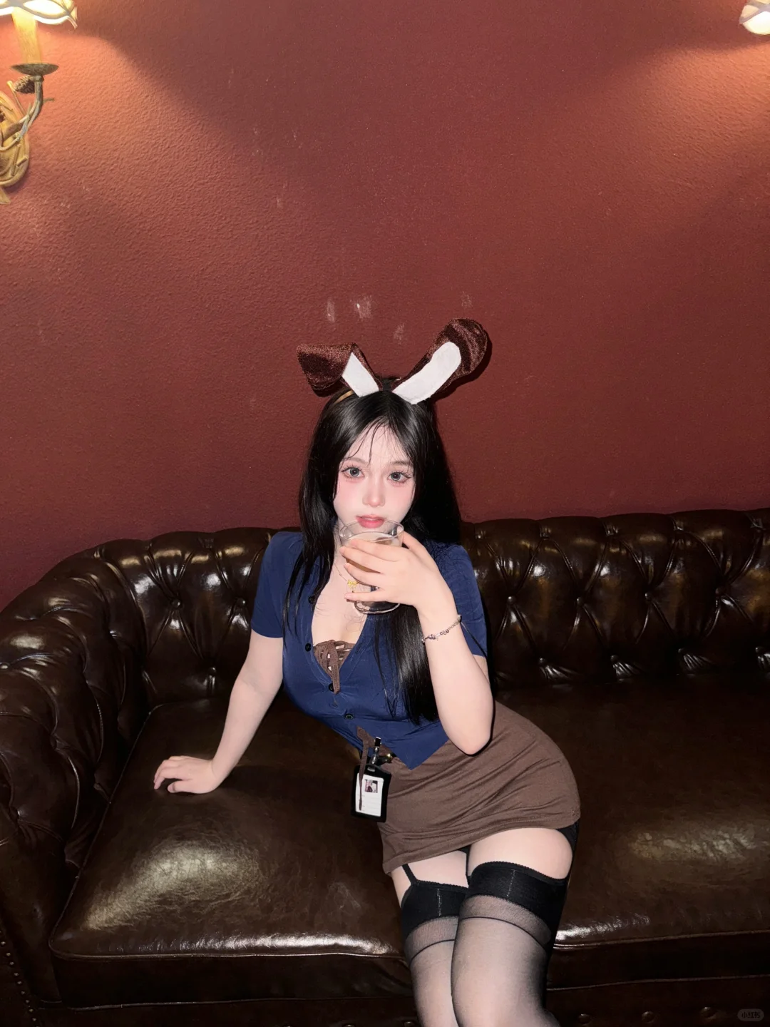 🐰