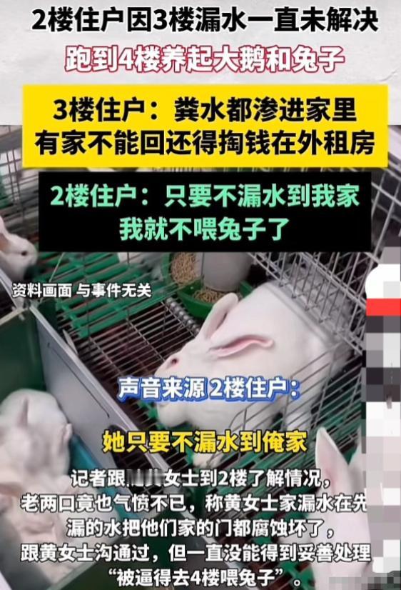 “以其人之道还治其人之身！”河南许昌，2楼因3楼漏水一直未解决，一怒之下跑到4楼