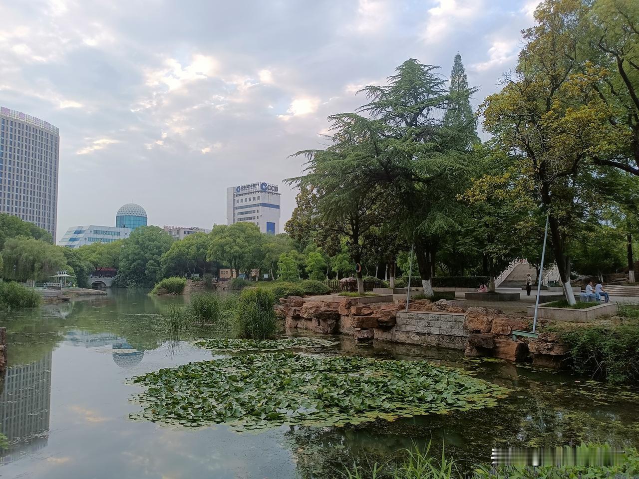 晒图笔记大赛晚饭后半小时是要锻炼的，前一段时间腿伤复发，歇了好久，再不锻炼就说不