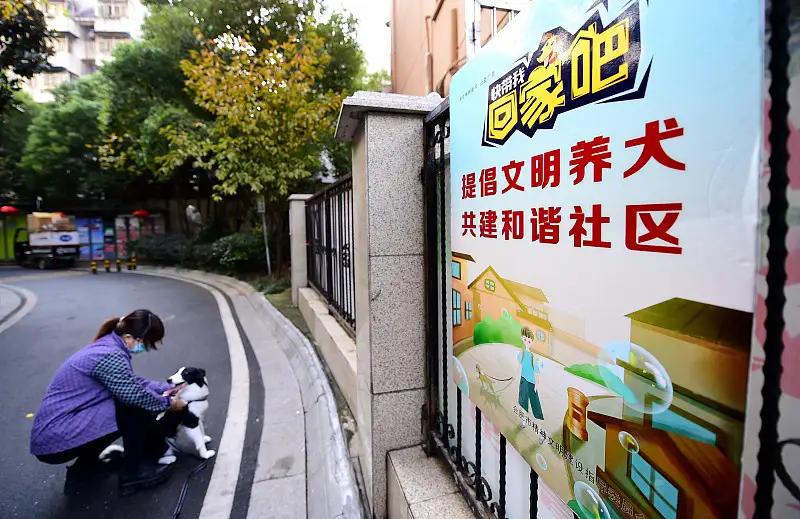 遛狗不拴绳，等于狗遛狗！而且对不拴绳的狗，一律要进行捕杀，否则对社会危害很大。不