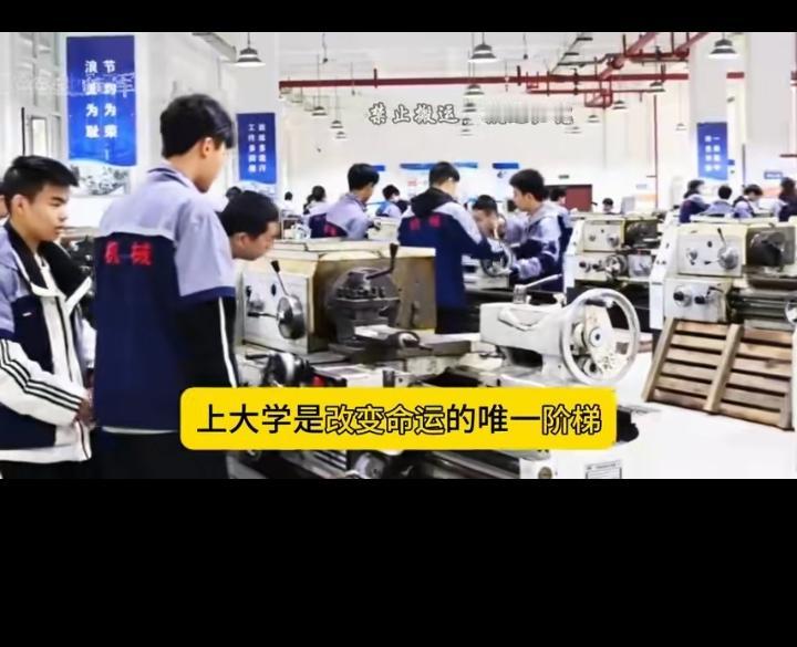 听说现在号召这些本科生再回高职技校学技术？不知道这是哪些人想出来的？这不是浪费了
