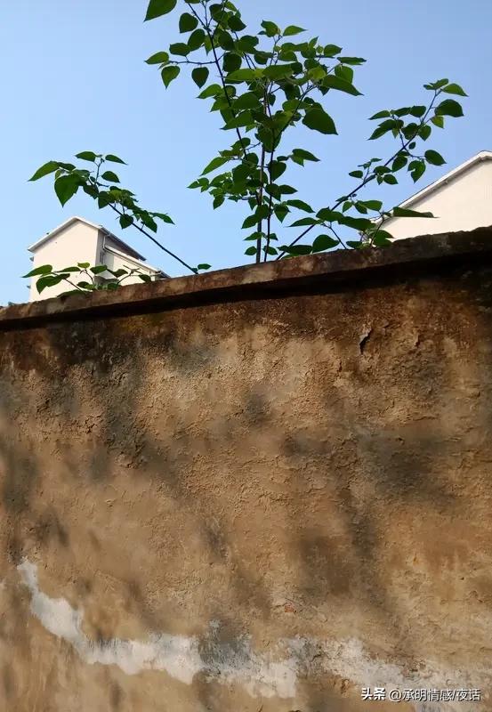 家人们，把这段霸气语录收藏起来，关键时候能护着你！
我对人有礼貌，全靠互相尊重；