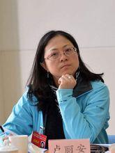 卢丽安，女，汉族，1968年12月出生于中国台湾省高雄市，台湾政治大学英语系毕业