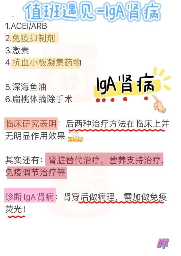 值班规培遇见lgA肾病