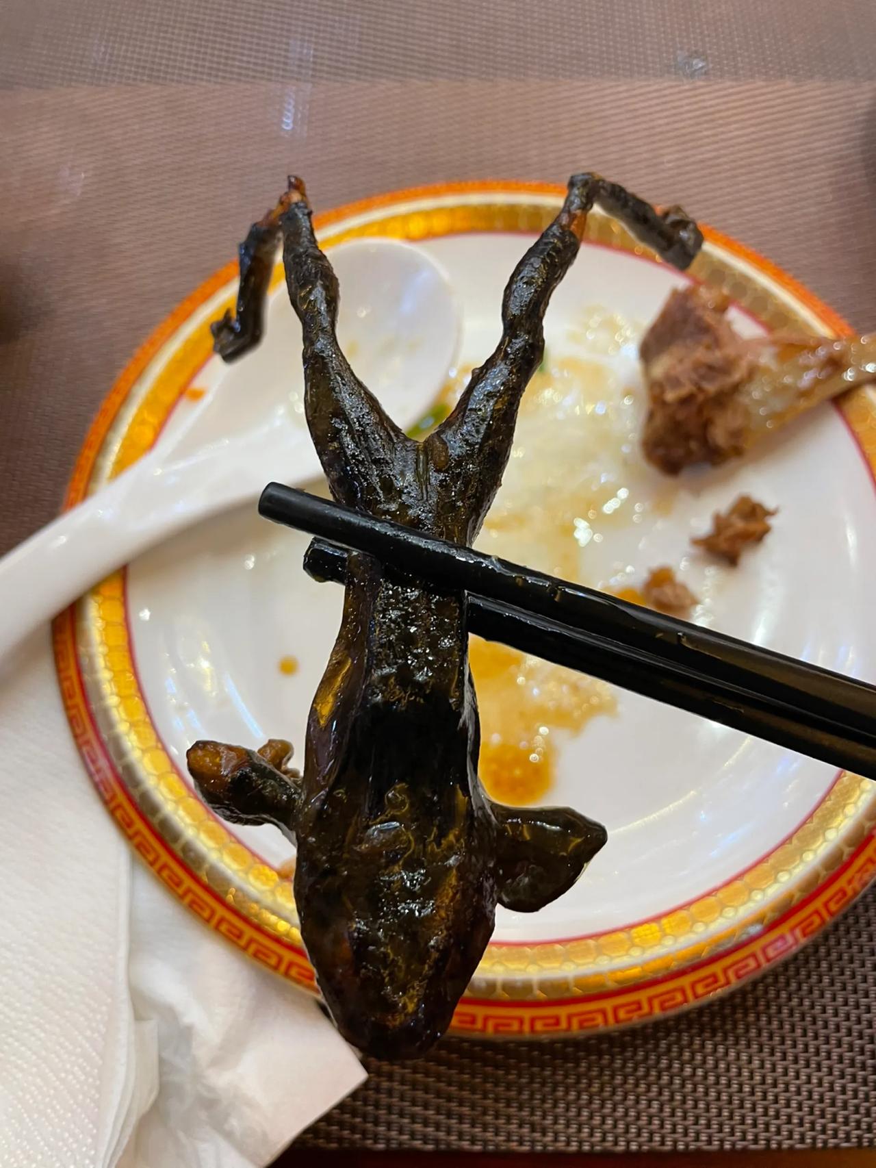 猜猜这是啥玩意？不是牛蛙