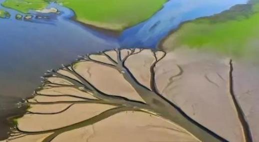 1946年，美国一潜水专家到鄱阳湖打捞日本人的沉船，谁知湖底突然涌起漩涡，将其卷