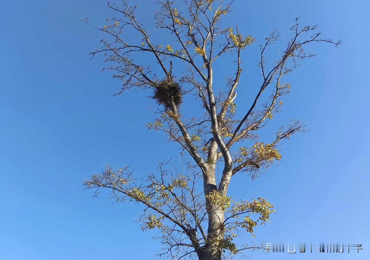 父母和孩子，当哪个更不容易？
儿子放学回来，告诉我说这是下次课的论题，让我帮忙一