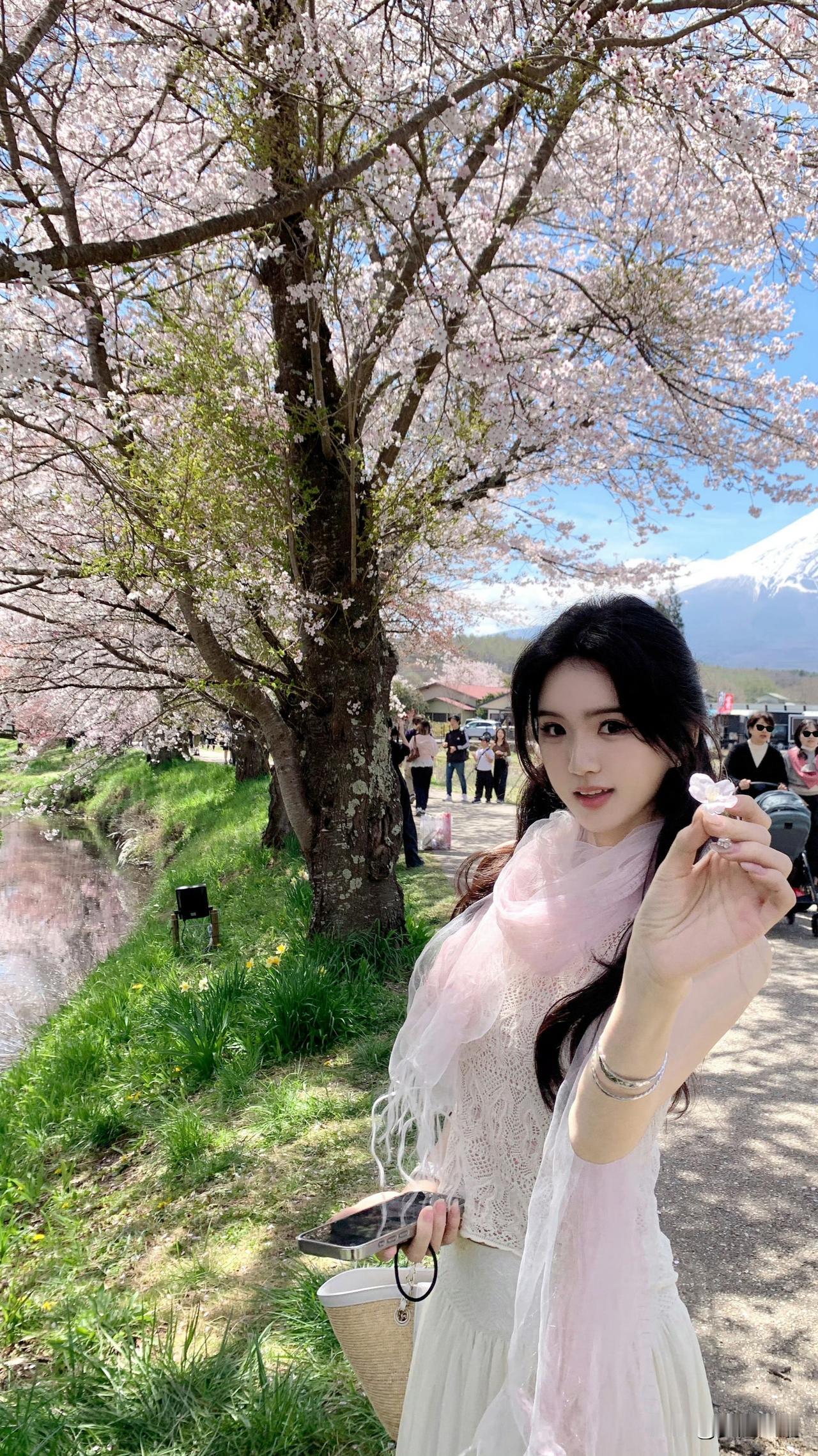樱花树下，少女轻抚花瓣，富士山为背景，春日浪漫气息扑面而来。