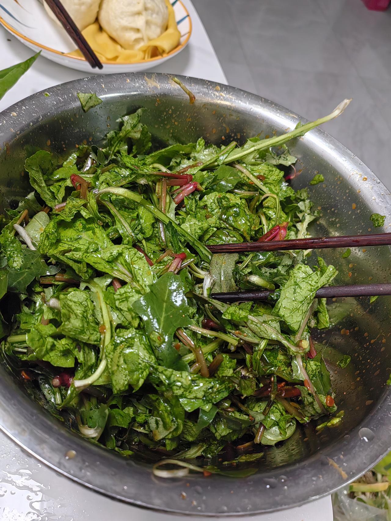 昨天把豆角，黄瓜种上了，还栽了一沟洋姜，也就毛子姜，腌着吃，好吃。
     昨