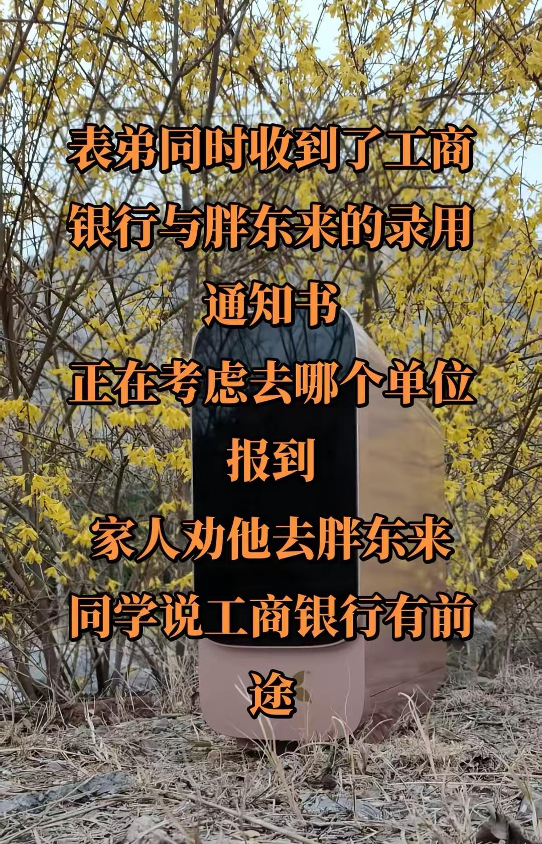 能去胖东来上班有多吃香，有人拿一家银行和胖东来同时录用相比，结果更多人支持去胖东