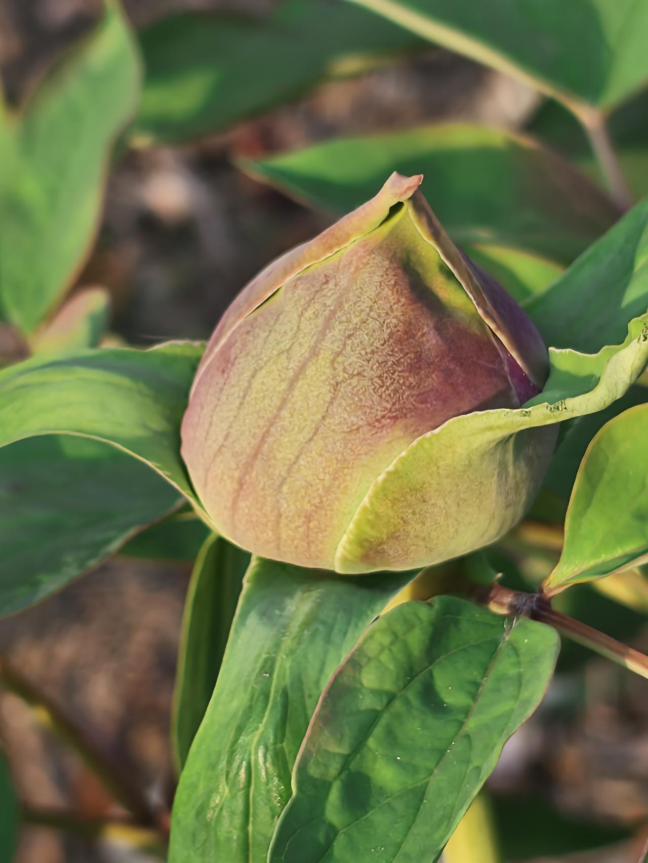 闺蜜打来电话，说，不想干了，太累了，受不了。
早上刚起床，手机响了。一看是闺蜜的