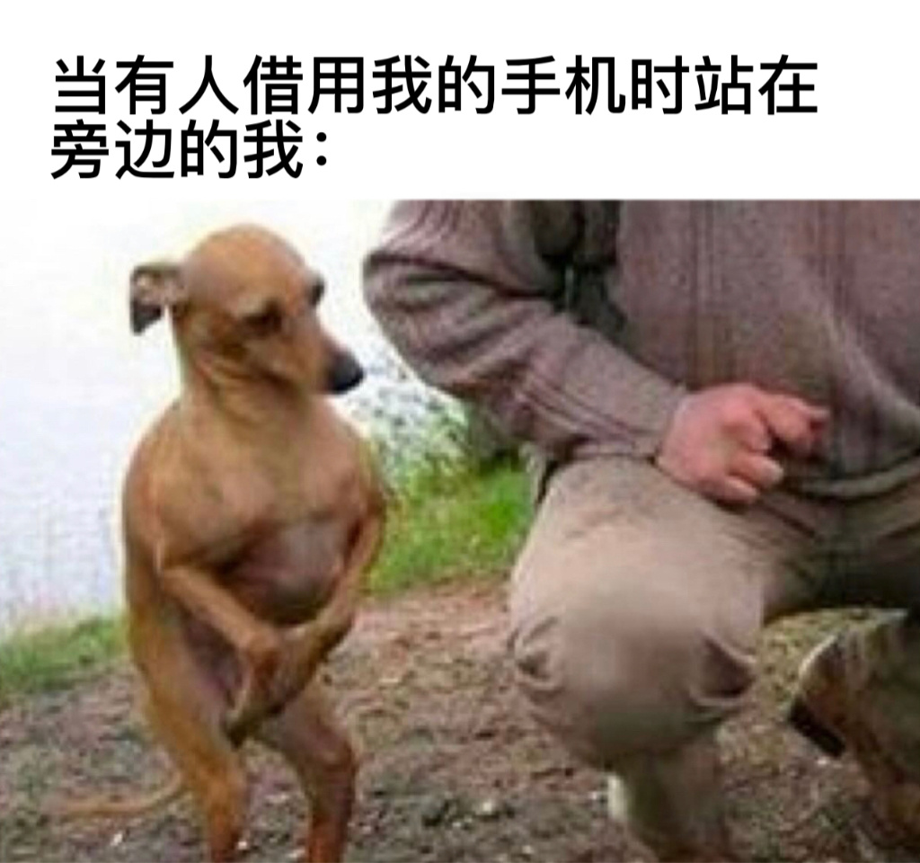 求你别翻#今日memes# //#v笑年度大赏# ​​​