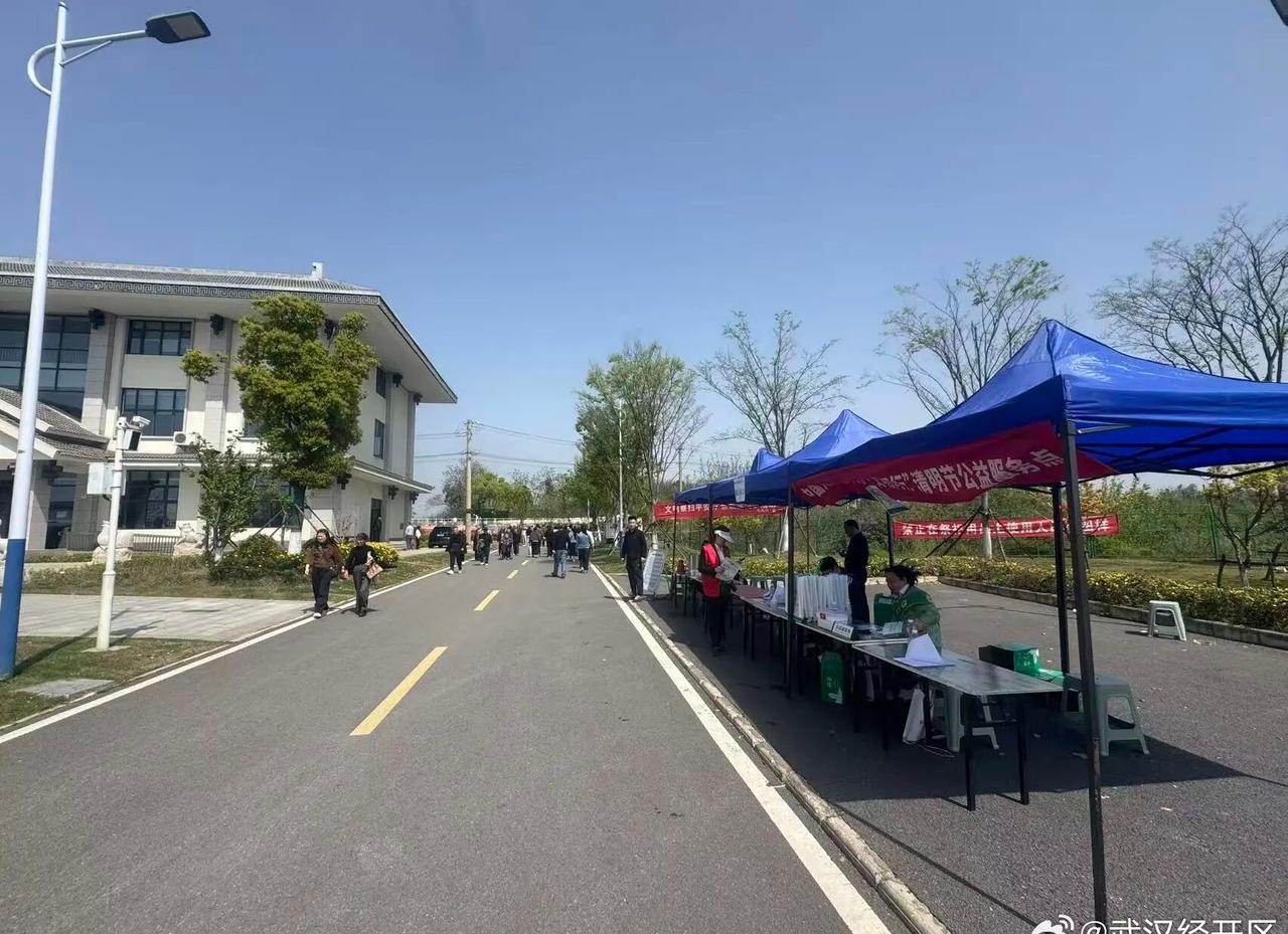 【清明假期 武汉经开区绿色文明祭扫蔚然成风】4月5日，天气晴好，武汉经开区滩头山