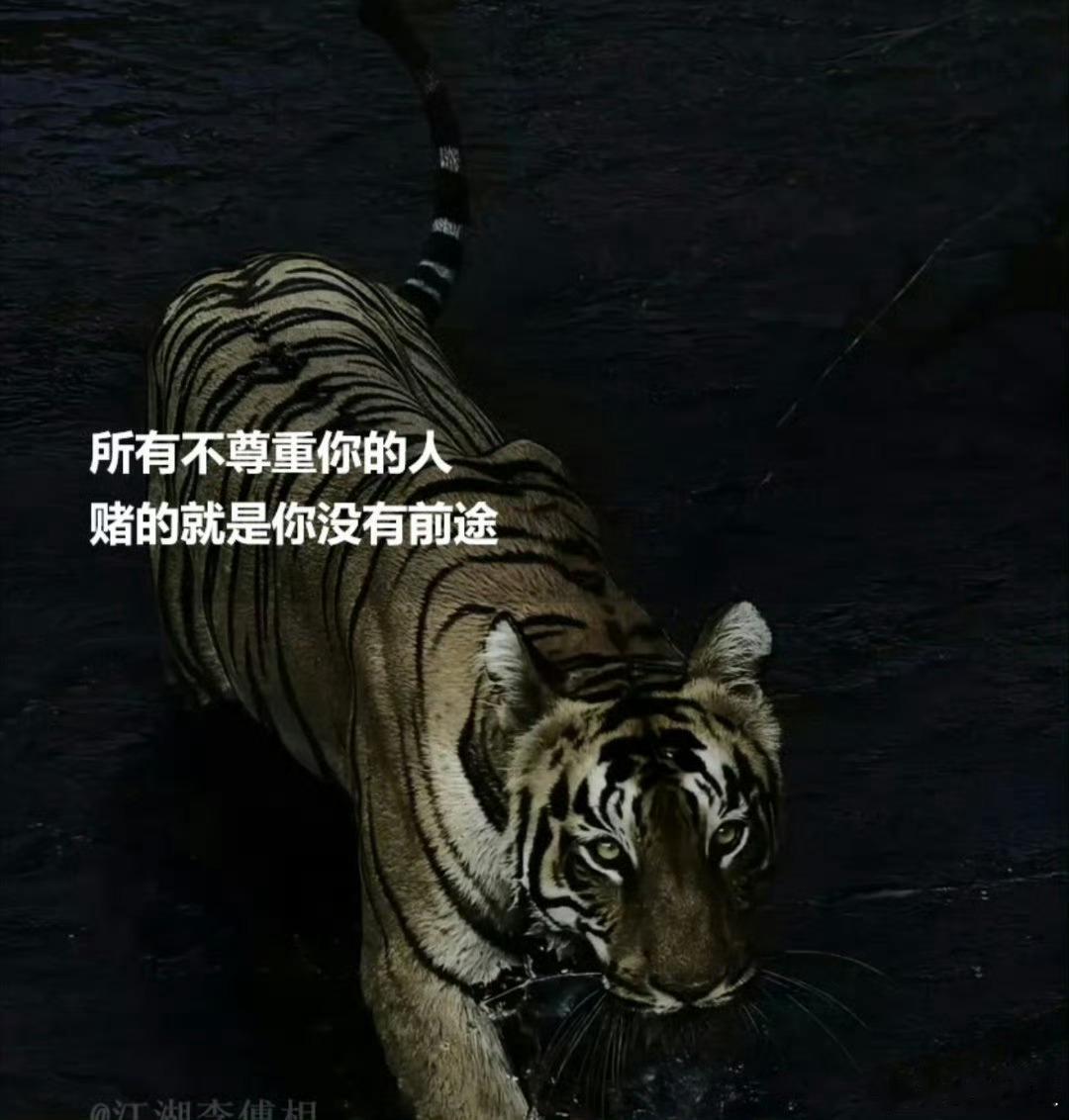 好扎心的话 
