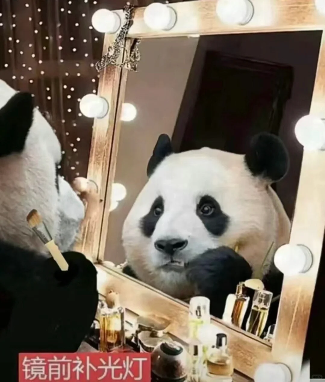 通通闪开！福公主驾到👸