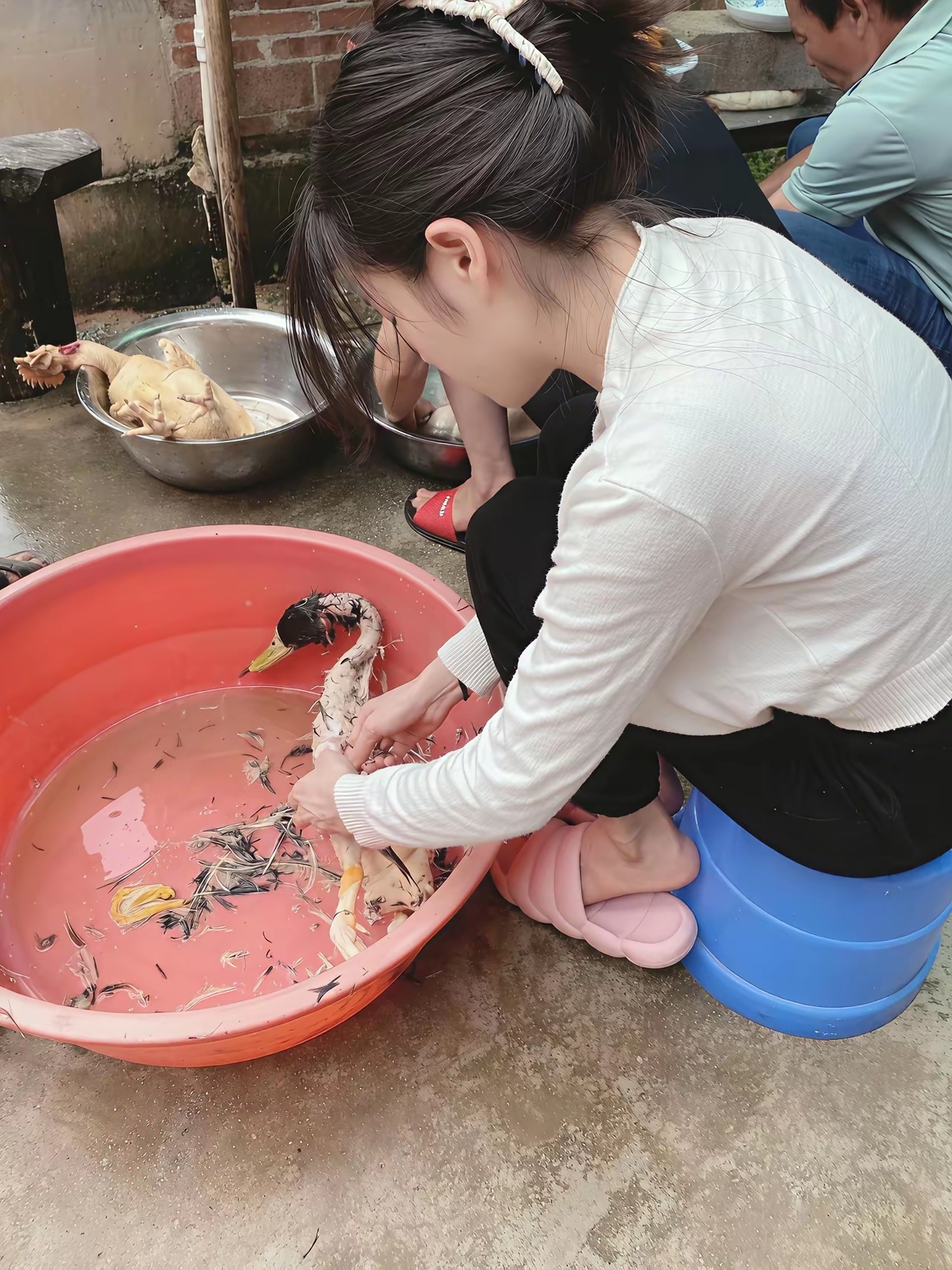 我的外甥女去年遭遇车祸不幸离世，那时候她才新婚五个月，我妹妹这辈子就这么一个女儿
