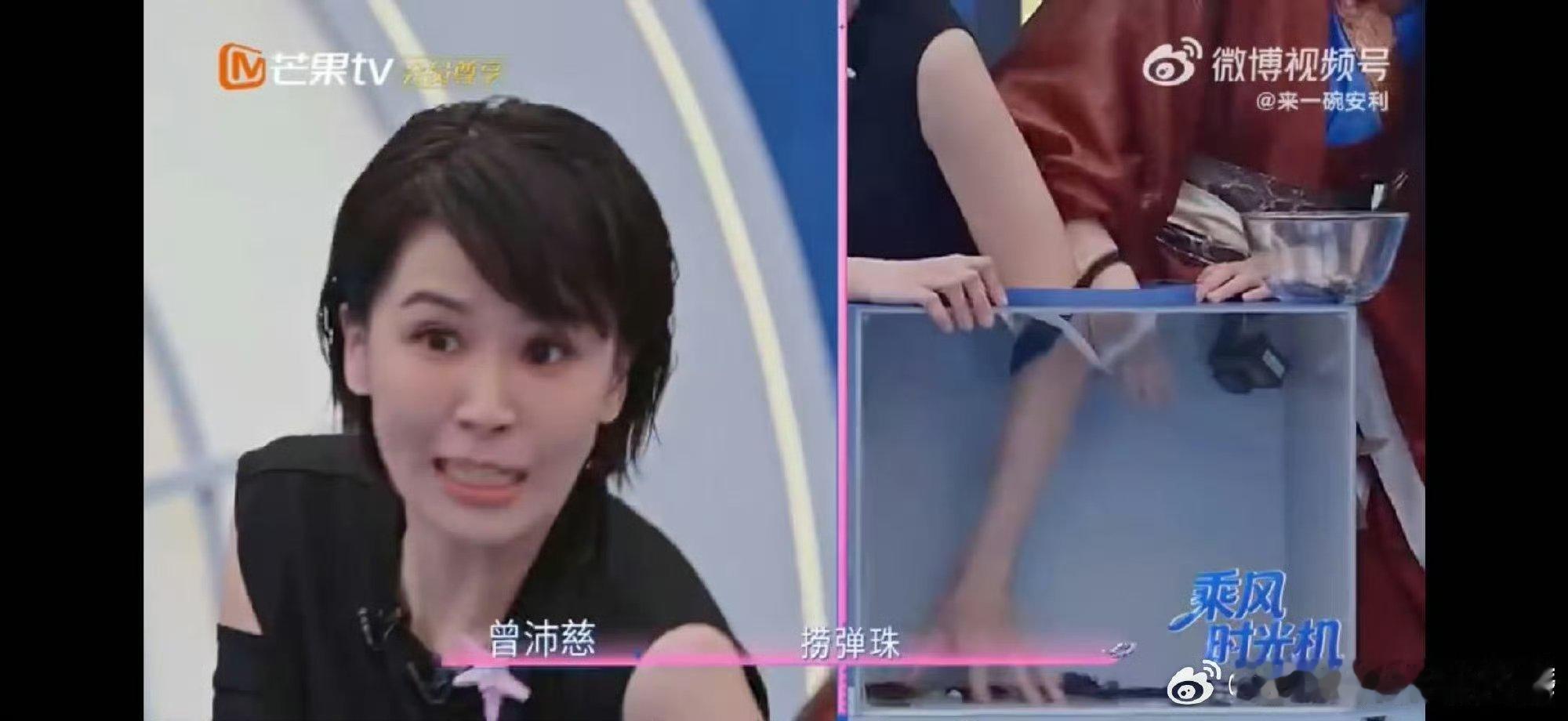 曾沛慈抓虫子好勇 乘风2026不愧是我们的king，摸恐怖箱抓弹珠干脆又果断，也