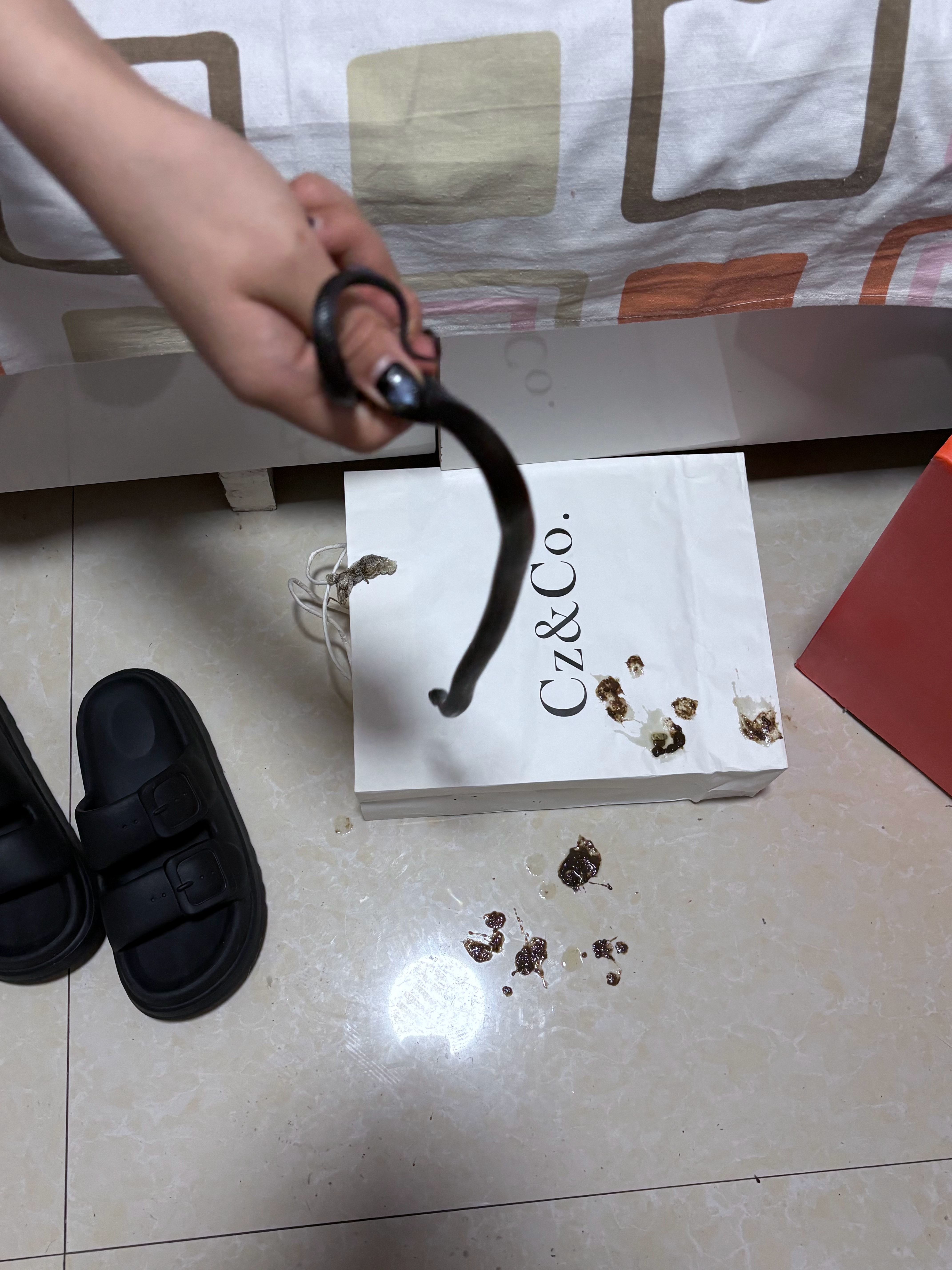 嘿嘿…我朋友在我搬完家之后来我家了，帮我收拾蛇还有爬柜～～～p1的玻璃碗她洗了好