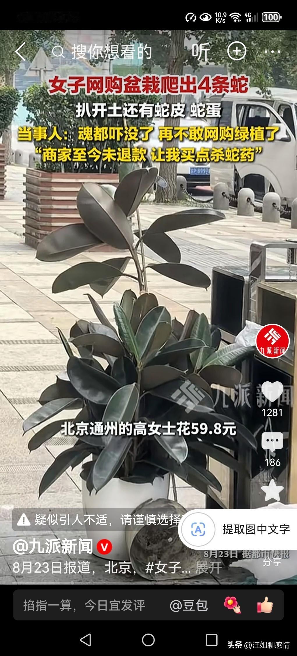 女子网购绿植18天爬出4条蛇：当“惊喜”变成惊吓，谁该为生命负责？

十八天，四