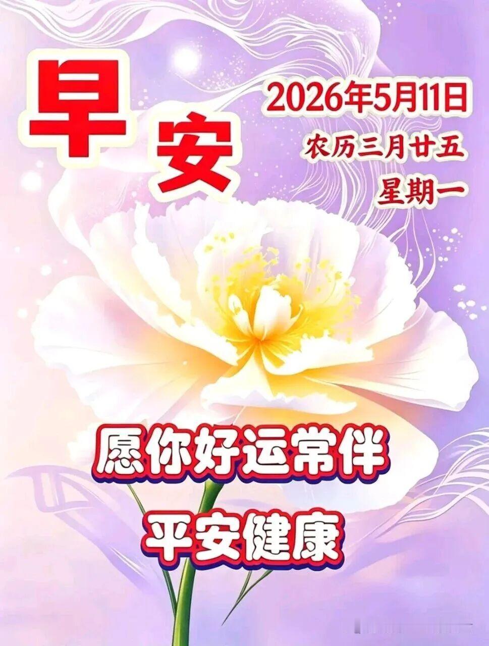 🌻初夏的晨光漫过枝头，拂去心底的浮躁与烦。告别过往所有疲惫，携一身温柔与从容，