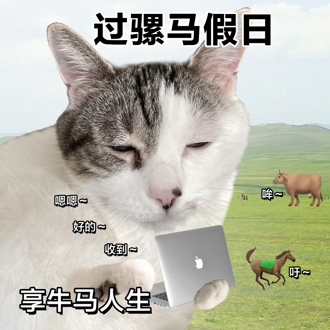 表情包 | 过骡马假日，享牛马人生