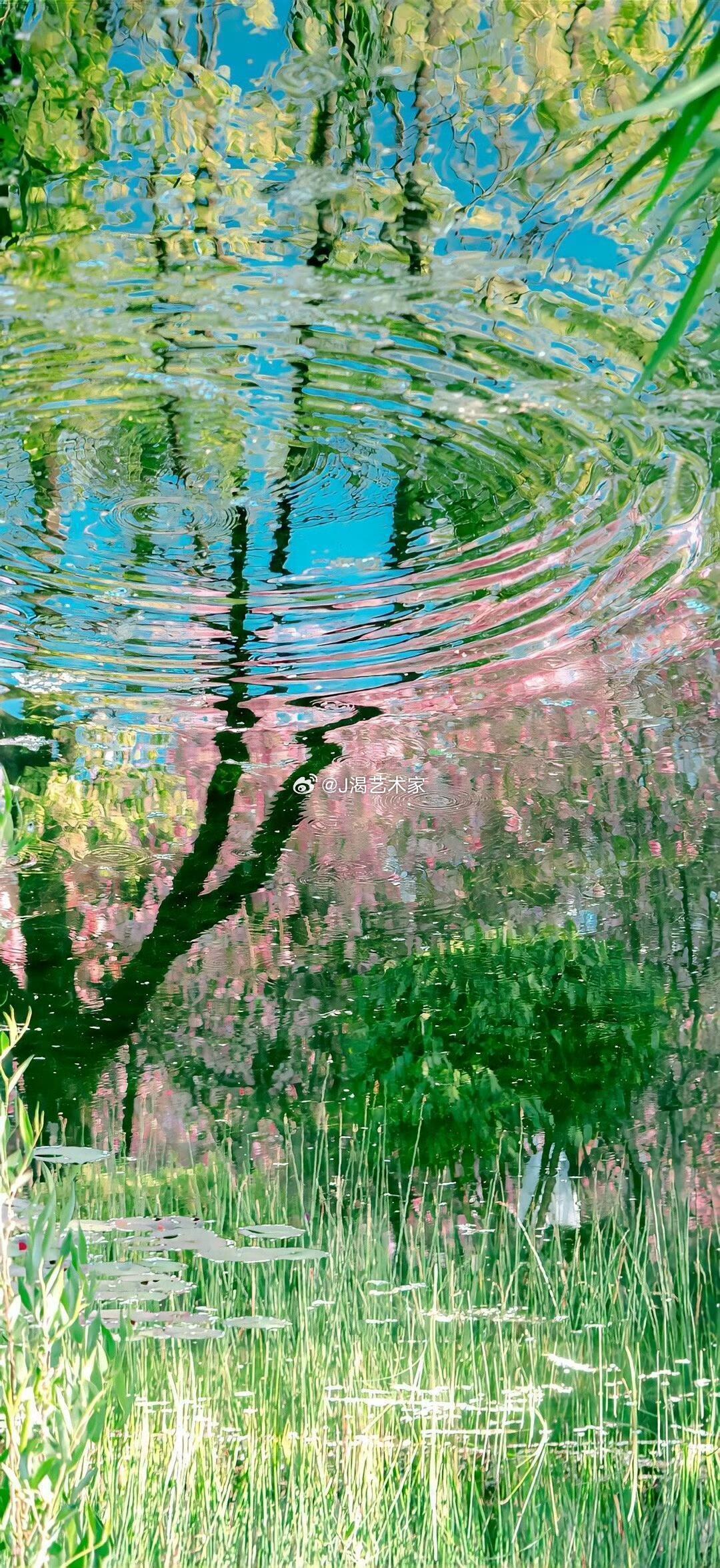 今年不知道为什么膝盖总是凉，今天去中医院艾灸，找的是我的好朋友，也是我高中同桌。