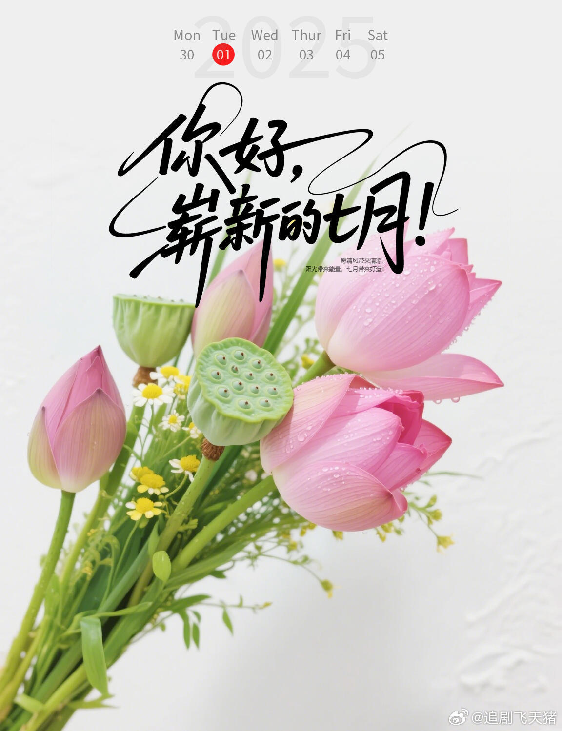 早安！六月落幕，七月启程。收起过往的小烦恼，怀揣热爱迎接新一月。清晨道一声早安，