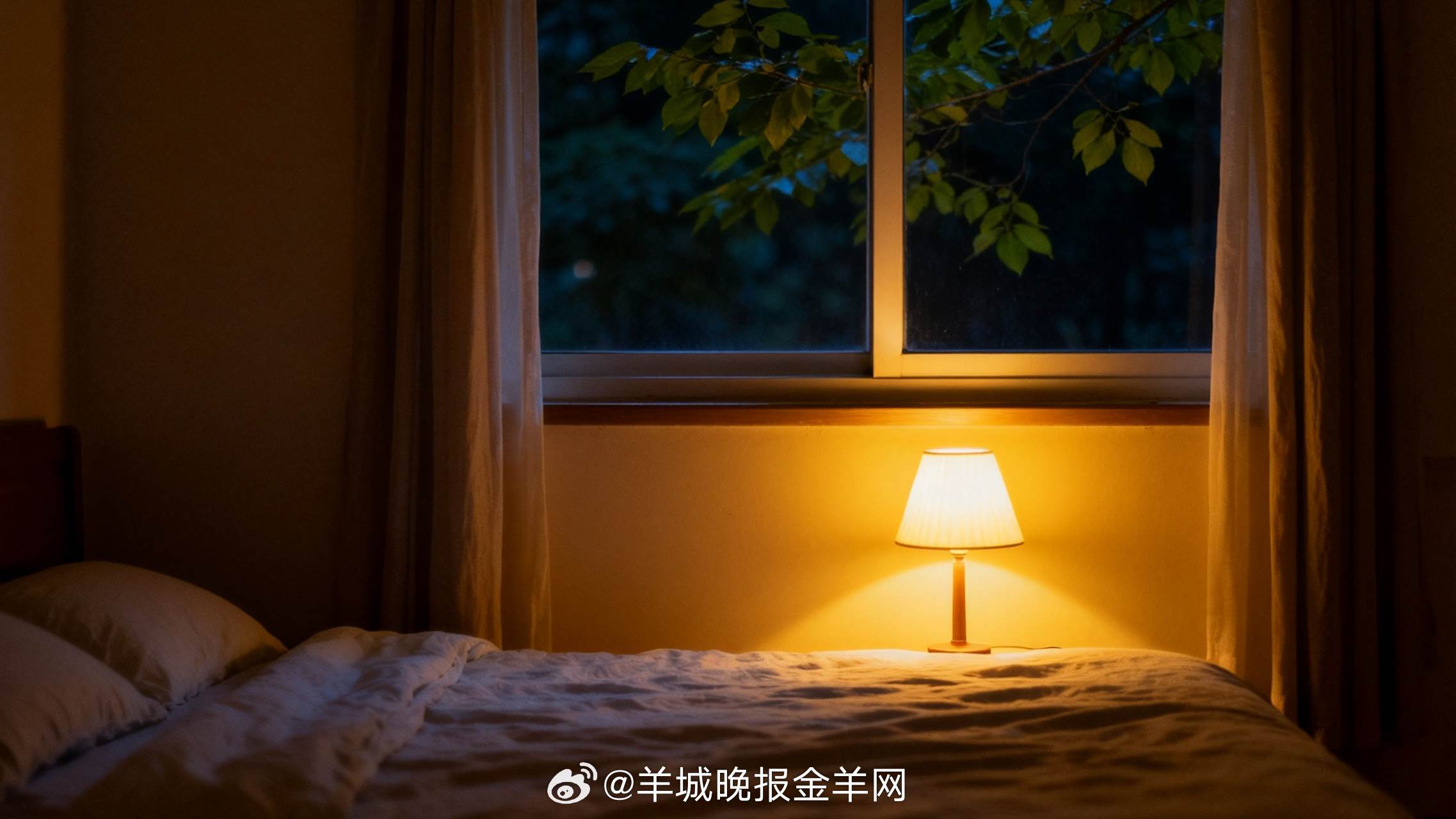 #晚安#风停了，树叶也安静下来。一天的热闹落幕了，只剩下自己和这间屋子的寂静。不