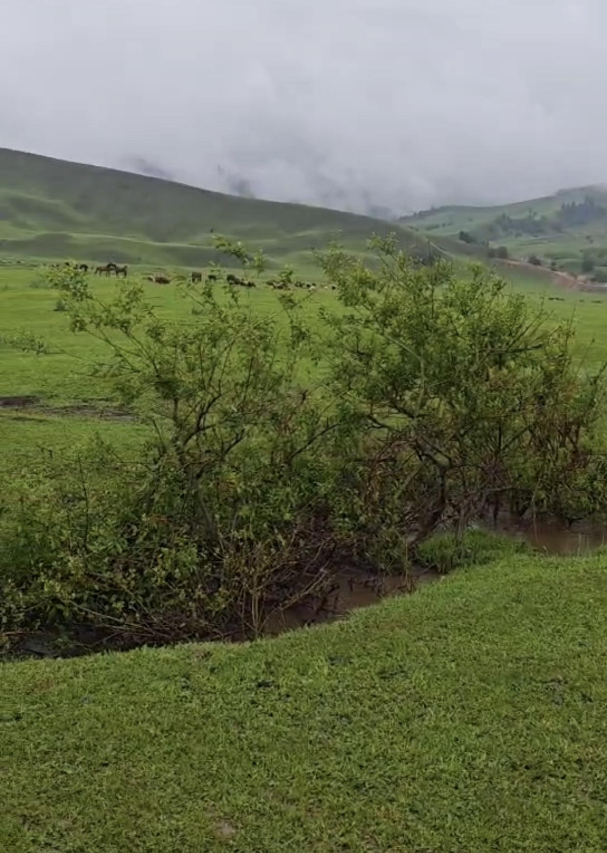 大山深处的美，令人难以抗拒的！