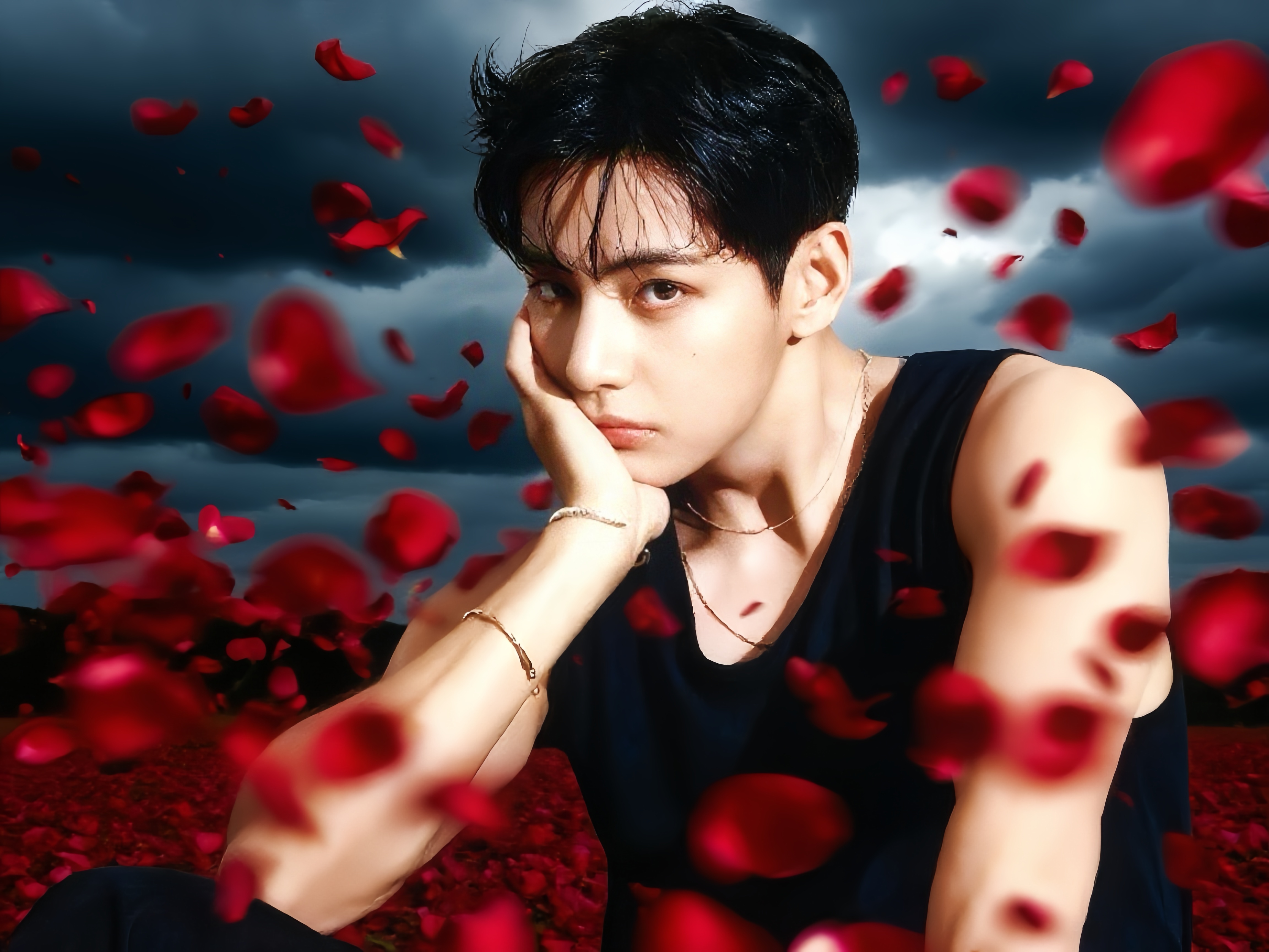危险红玫瑰🥀 ​​​