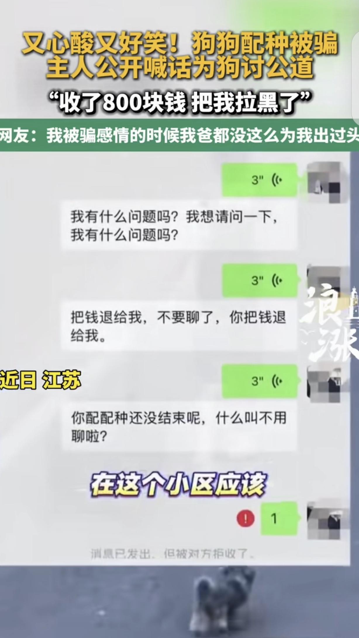 江苏，一男子花 800 元，给自家狗狗配种，万万没想到，对方收了他的钱，直接把他